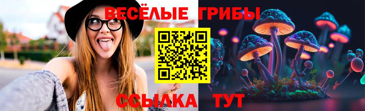 Джанкой  Псилоцибиновые грибы MAGIC MUSHROOMS  Вход с VPN 